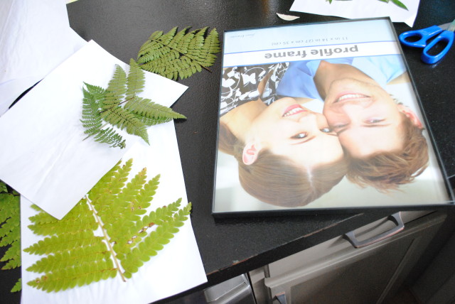Bring the Outdoors in by using ferns and creating art by @Jenna_Burger, www.sasinteriors.net