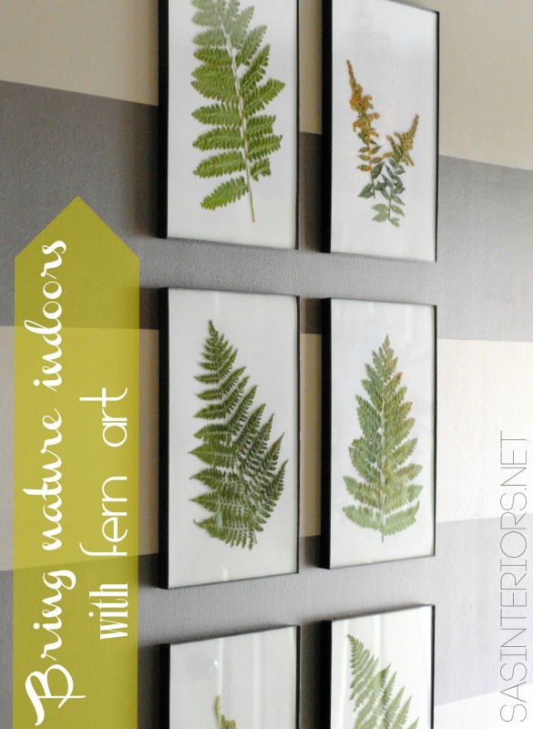 Bring the Outdoors in by using ferns and creating art by @Jenna_Burger, WWW.JENNABURGER.COM
