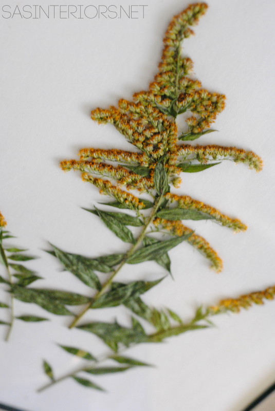 Bring the Outdoors in by using ferns and creating art by @Jenna_Burger, www.sasinteriors.net