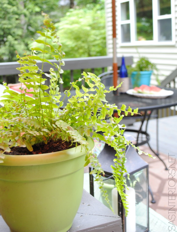 An Outdoor Deck for Outdoor Living: sharing our outdoor oasis where we'll be spending lots of time over the next few months! 