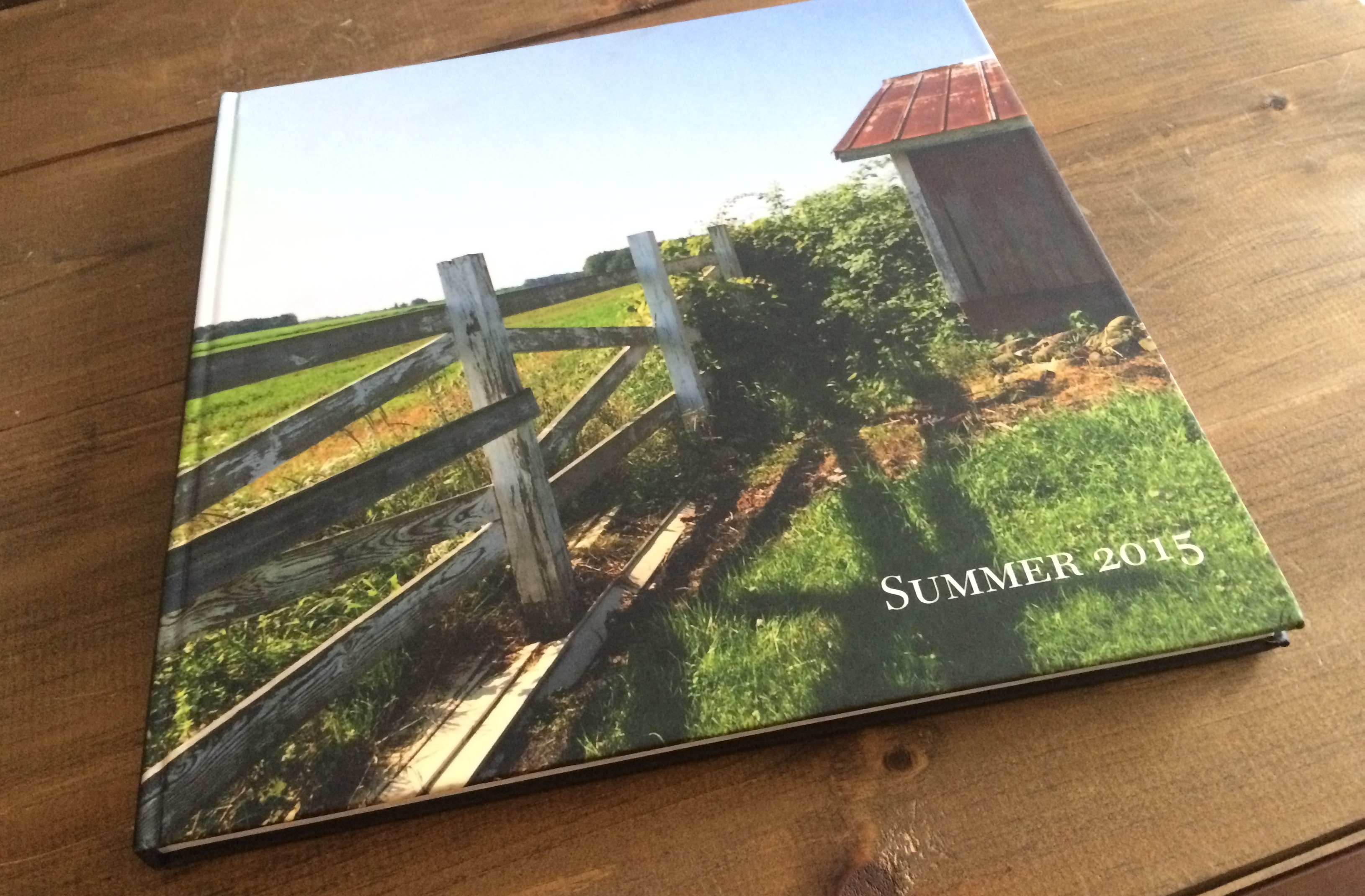 Ode to Summer: Capturing Memories - Jenna Burger Design LLC