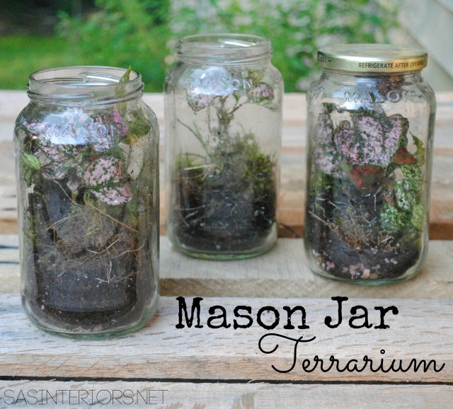 #DIY: Mason Jar Terrarium tutorial by @Jenna_Burger, www.jennaburger.com