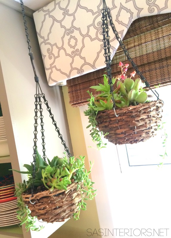 Hanging Succulent baskets