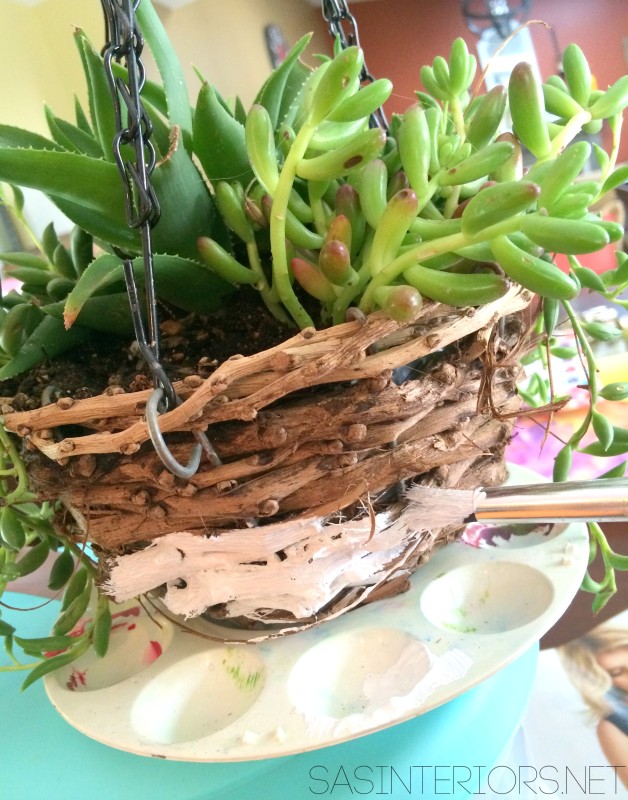 Color Block Succulent Hanging Baskets - Simple + Fast DIY creation. Sometimes easy is best!