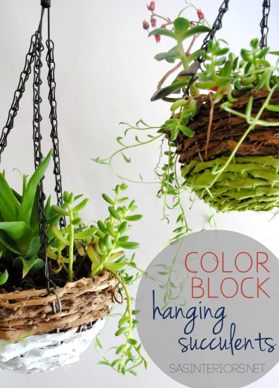 Pre-made succulent hanging basket from Lowe's jazzed up with paint to create a unique Color Block Succulent Basket {EASY DIY}
