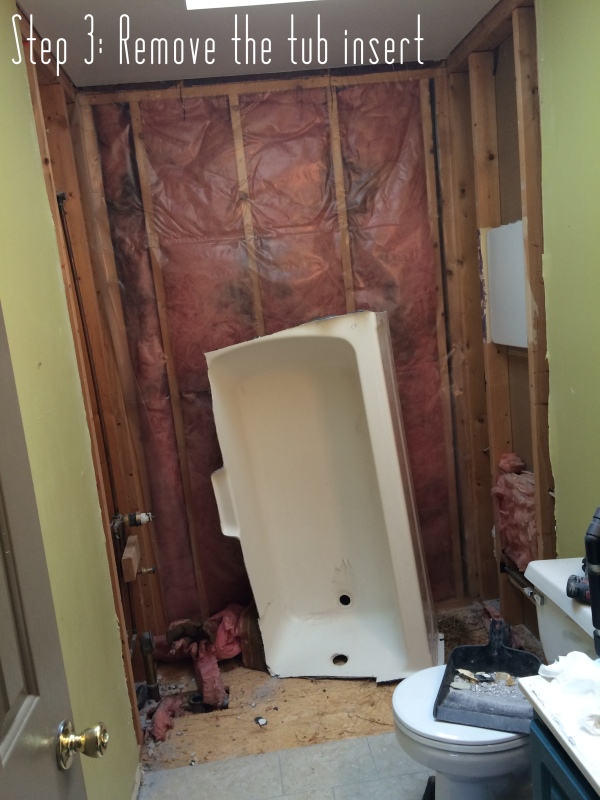 Bathroom Makover: Demoing the exisiting