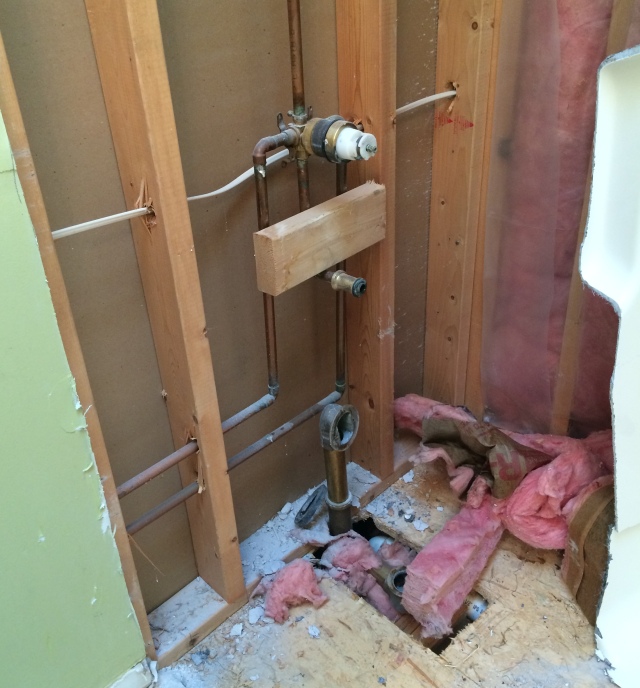 Bathroom Makover: Demoing the exisiting