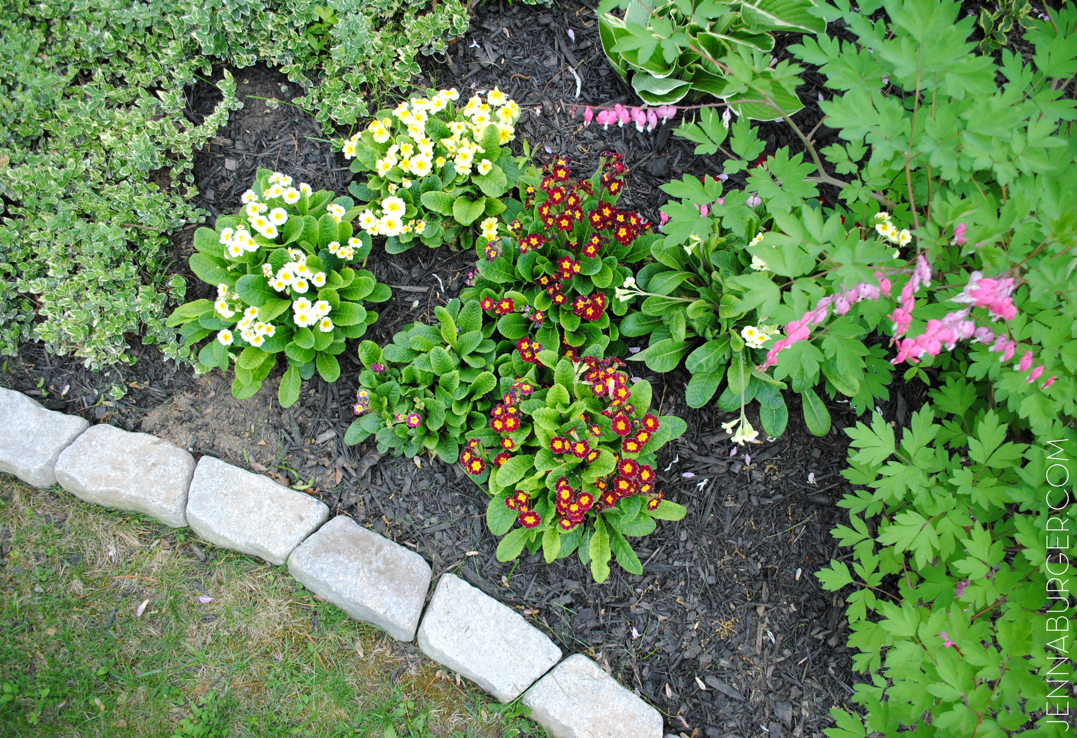 A Landscaper is Designing a Flower Garden in the Shape of a Trapezoid 